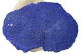 Vibrant Blue Azurite Sun on Siltstone - Australia #287973-1
